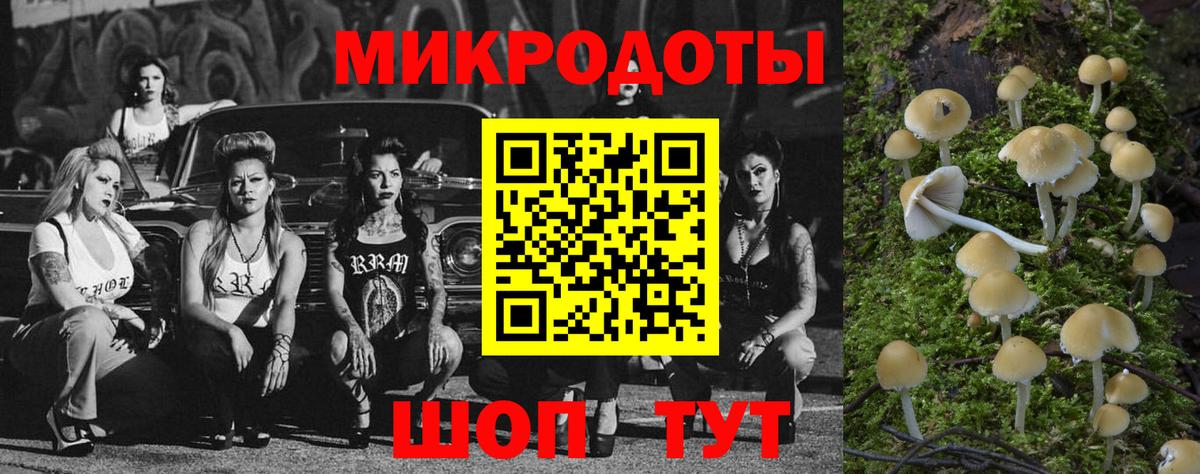 Аксай  Галлюциногенные грибы Psilocybine cubensis  Вход с VPN 